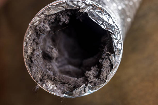 Best Local Air Duct Cleaning Services  in Jamestown, KY